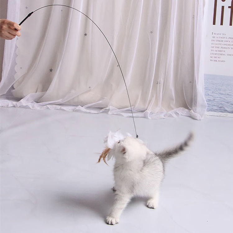 Interactive Cat Toy: Feather Teaser for Endless Fun & Bite-Resistant Play | Pet Supplies