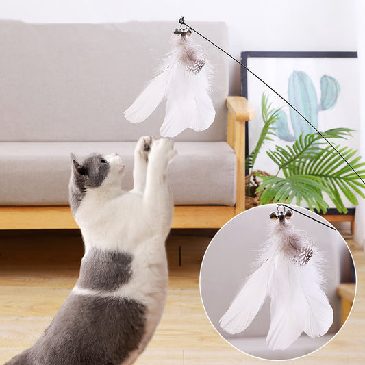 Interactive Cat Toy: Feather Teaser for Endless Fun & Bite-Resistant Play | Pet Supplies