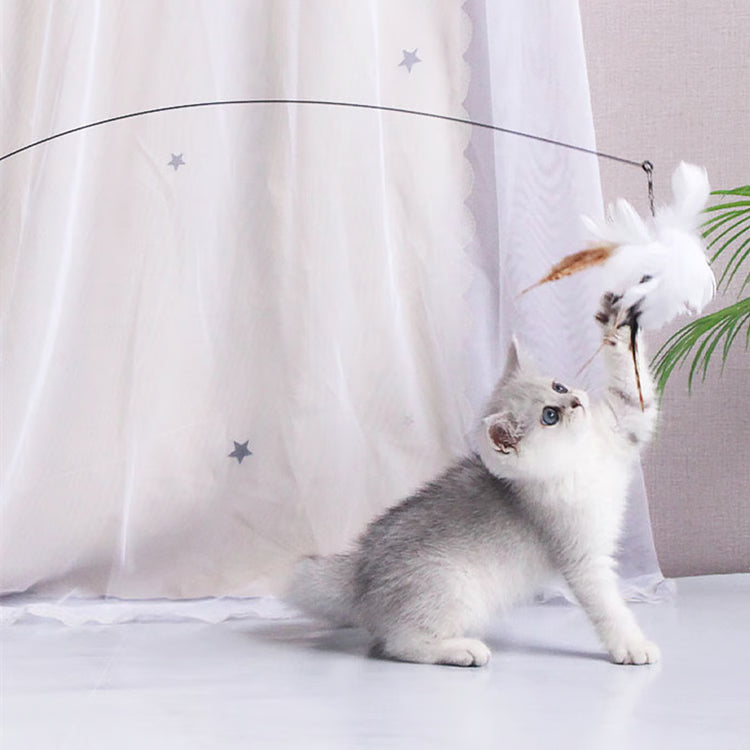 Interactive Cat Toy: Feather Teaser for Endless Fun & Bite-Resistant Play | Pet Supplies
