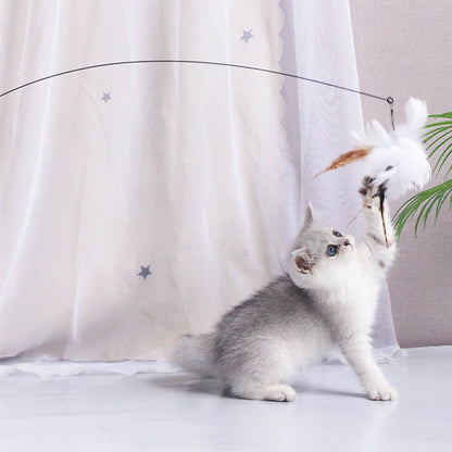 Interactive Cat Toy: Feather Teaser for Endless Fun & Bite-Resistant Play | Pet Supplies