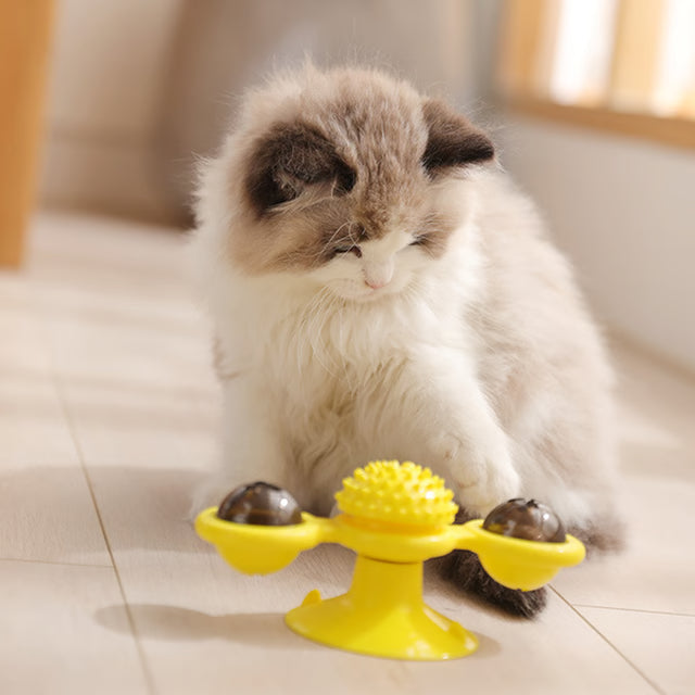 Rotating Windmill Cat Toy for Chewing, Swatting & Rubbing