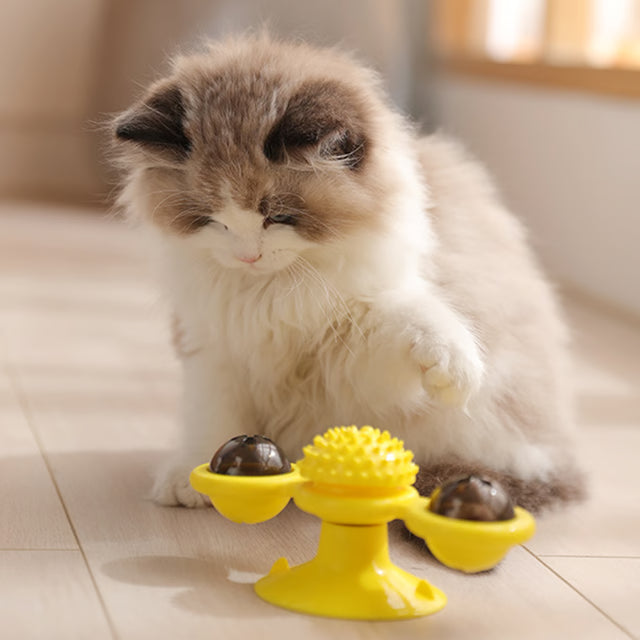 Rotating Windmill Cat Toy for Chewing, Swatting & Rubbing